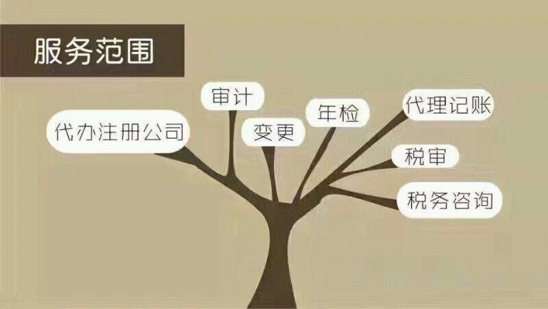 代理记账是干什么的